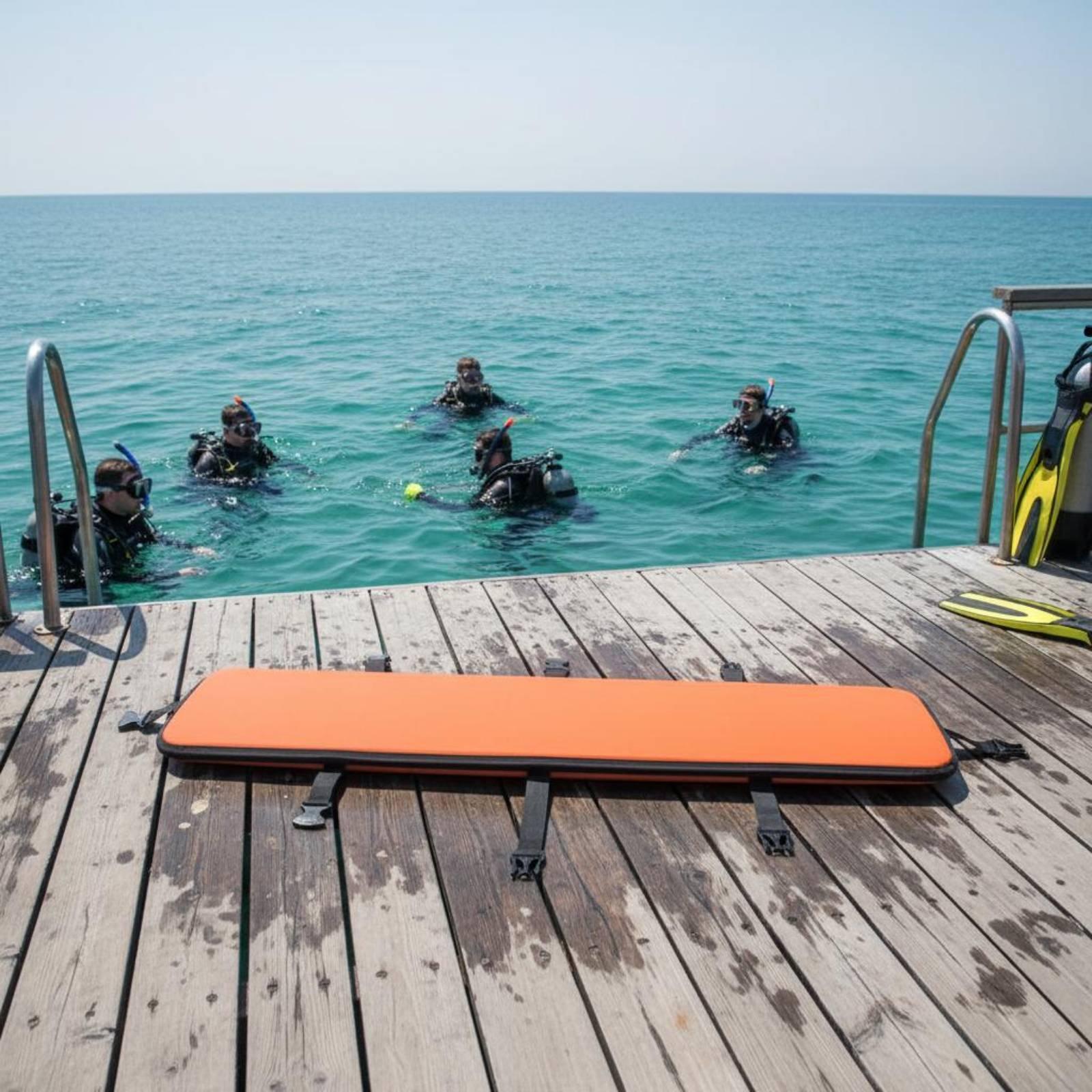 Diving Fins Carrier Waterproof - đánh giá và giá Swim Fins